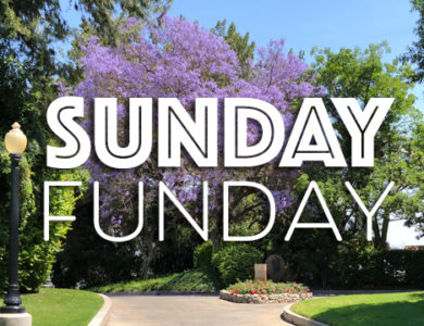 sunday funday
