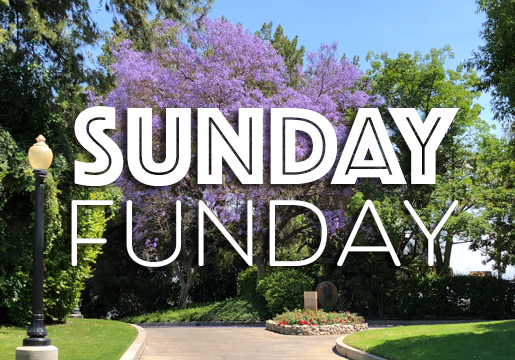sunday funday