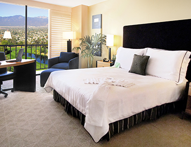 Deluxe Guest Room