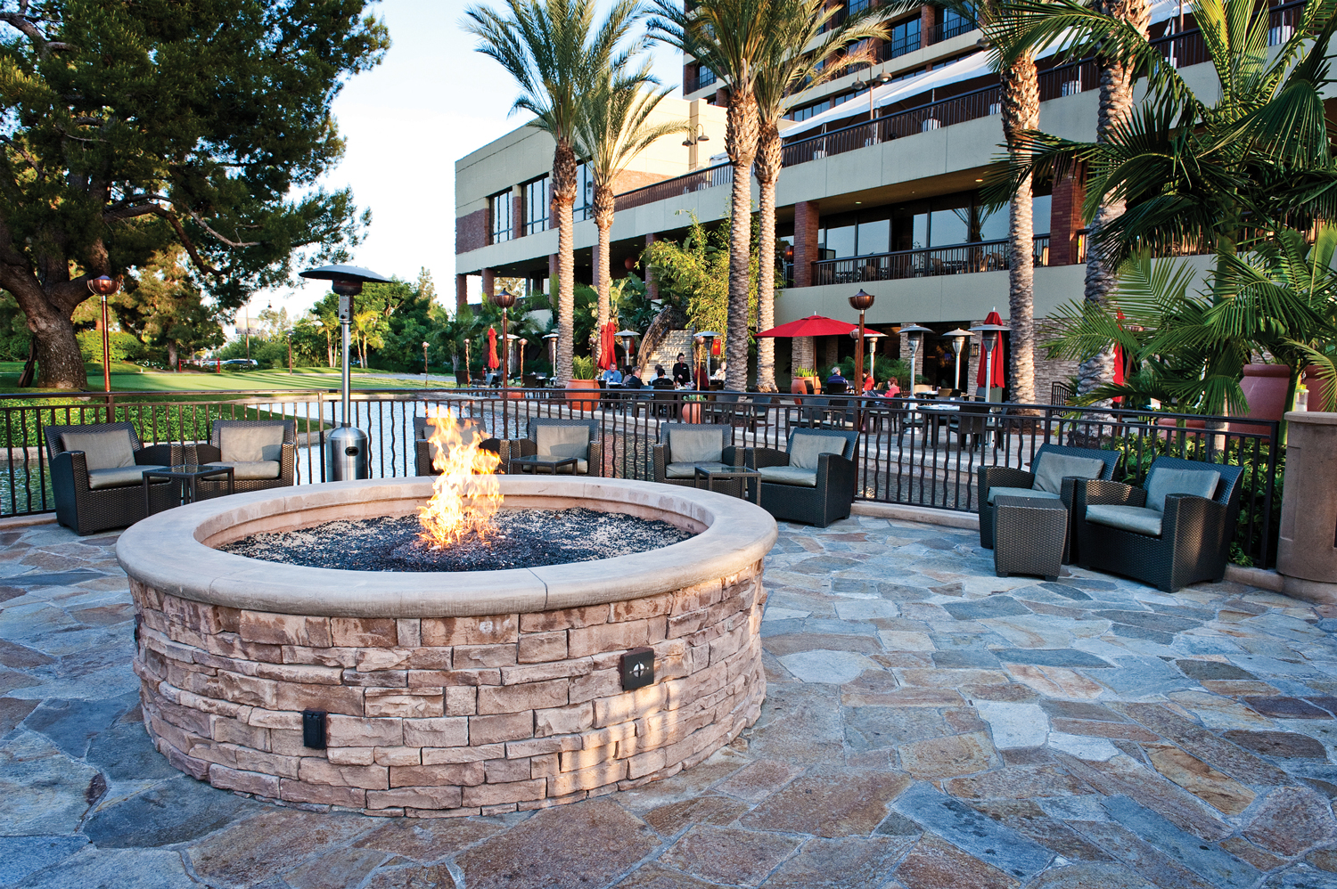 Our New Year’s Resolution To Be The Very Best Pacific Palms We Can Be